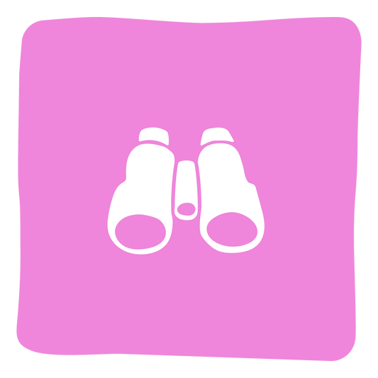 Our Vision