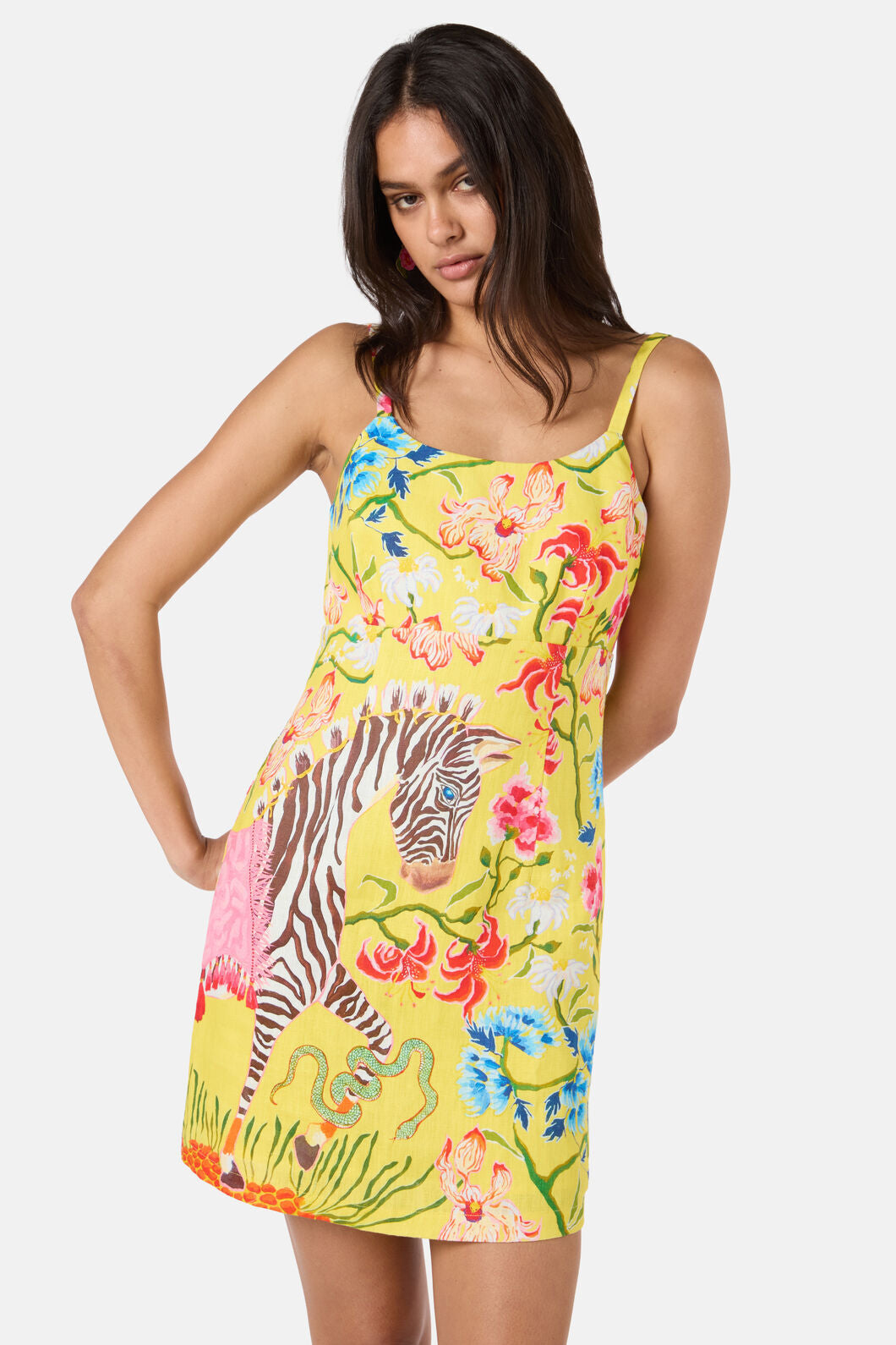 Gorman - Zebra Crossing Mini Dress - print