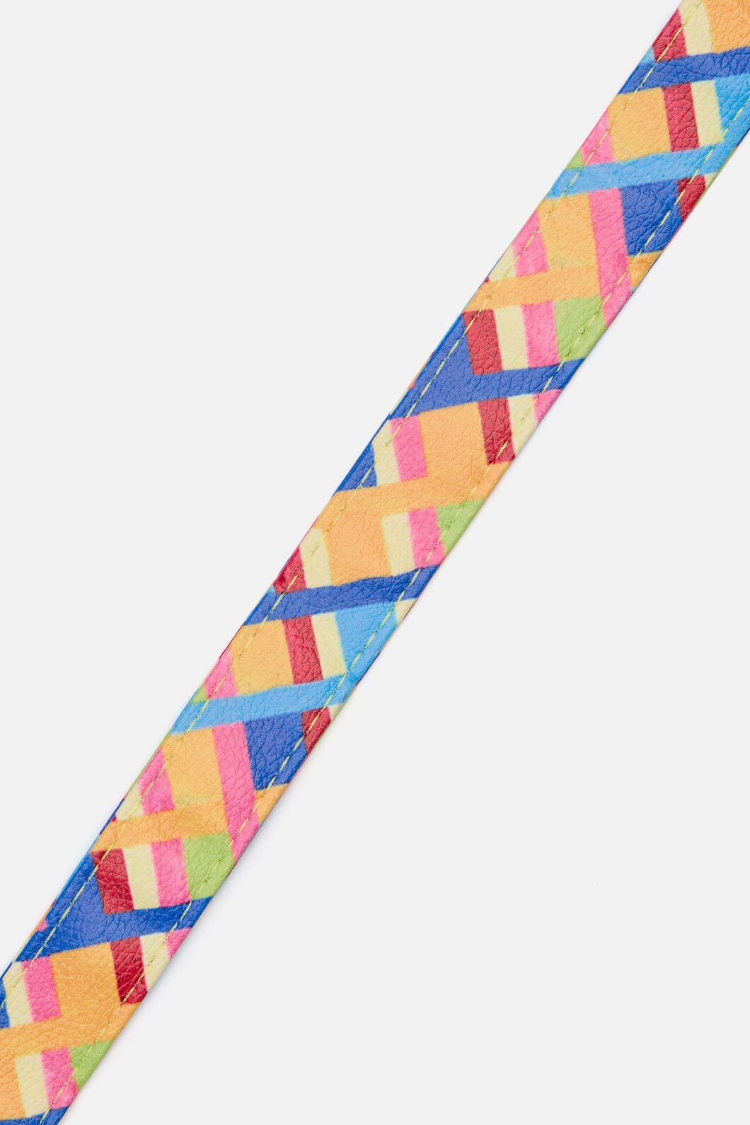 Gorman - Stardom Pet Lead - print