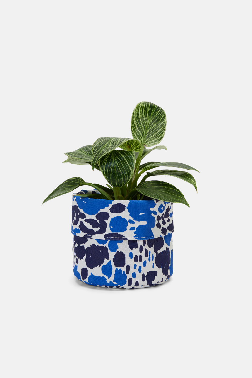 Gorman - Animal Planter Sml - print