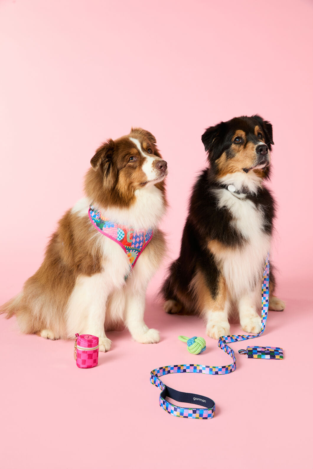 Gorman - Checkers Pet Gift Set - print