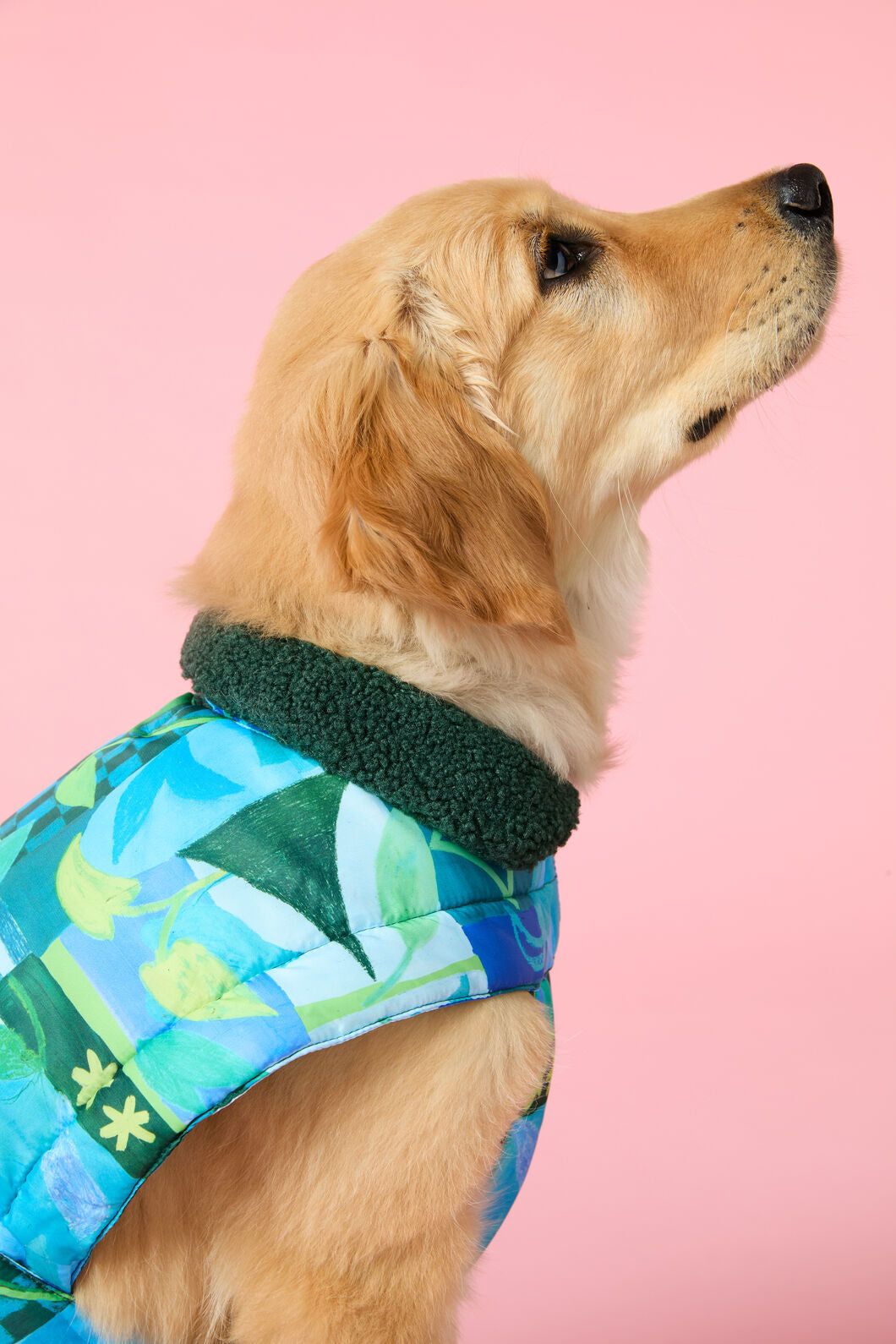 Gorman - Leaves Dog Puffer - print