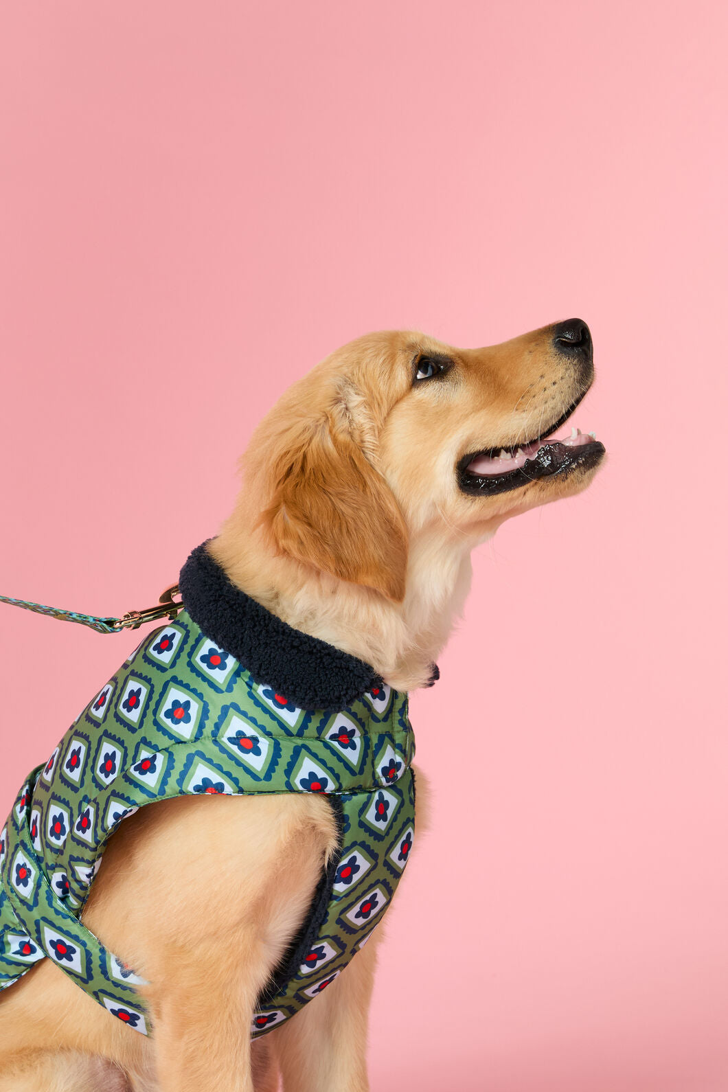 Gorman - Mosaic Flower Dog Puffer - print