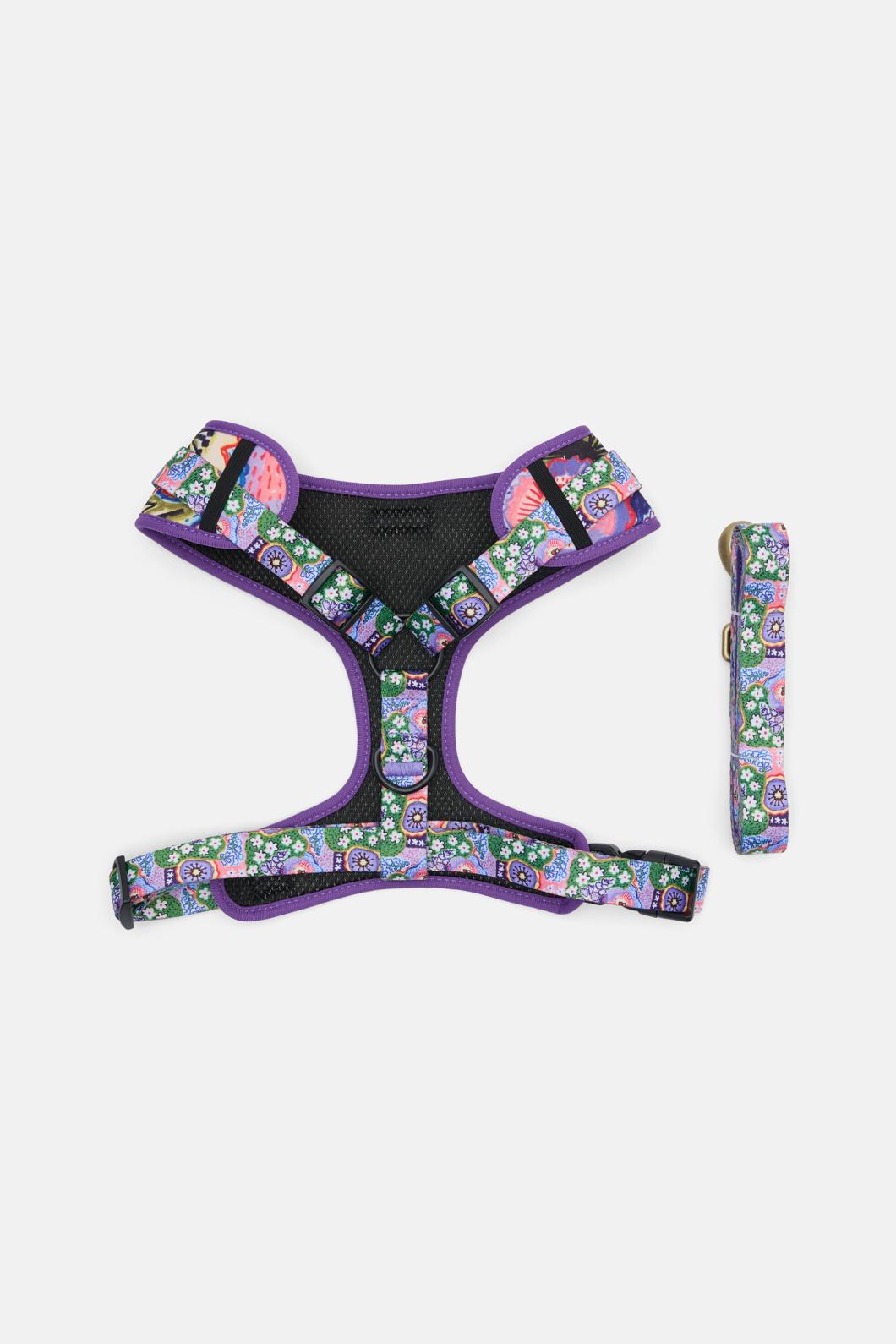Gorman - Petal Pallette Pet Gift Set - print