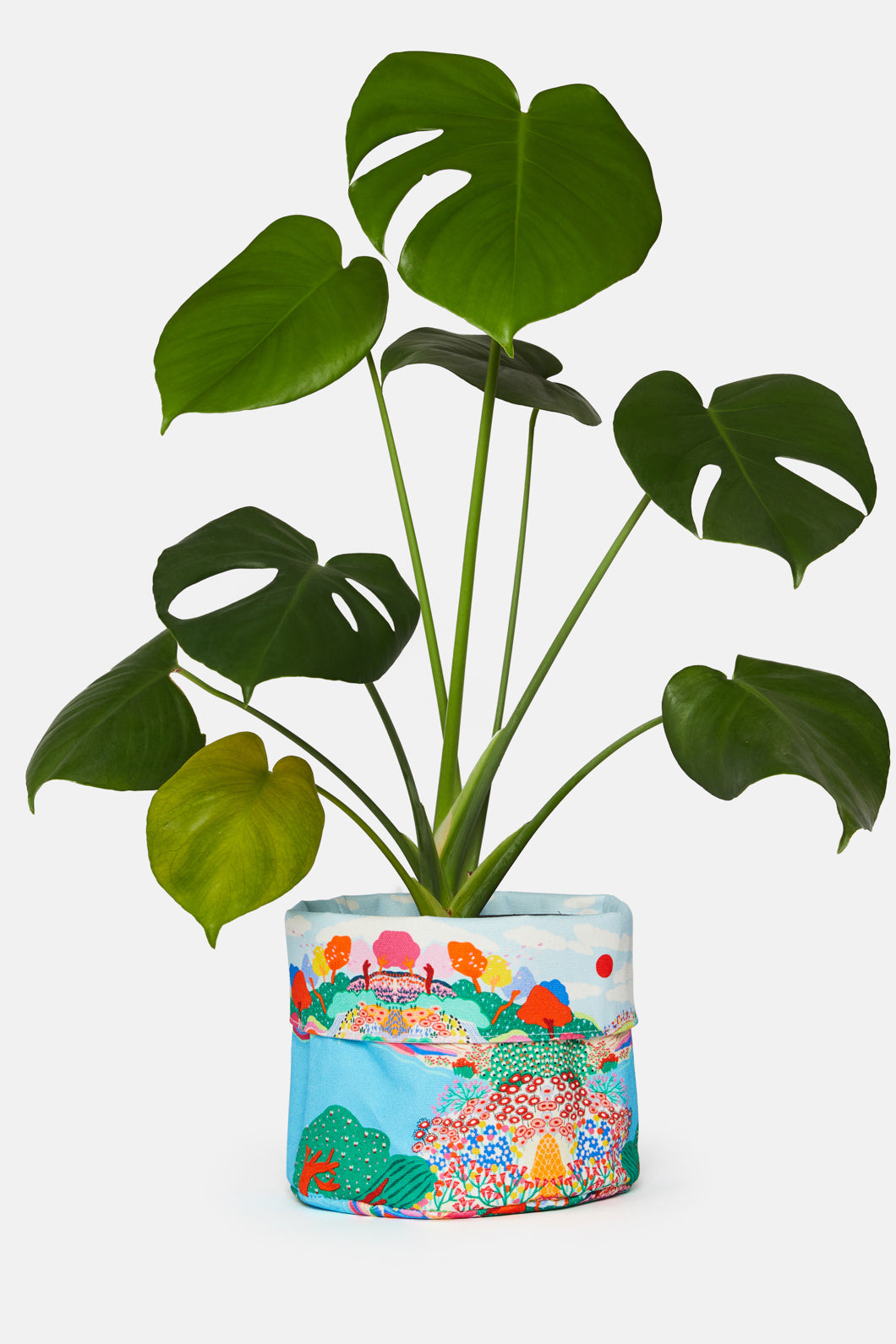 Gorman - Those Days Planter Medium - print
