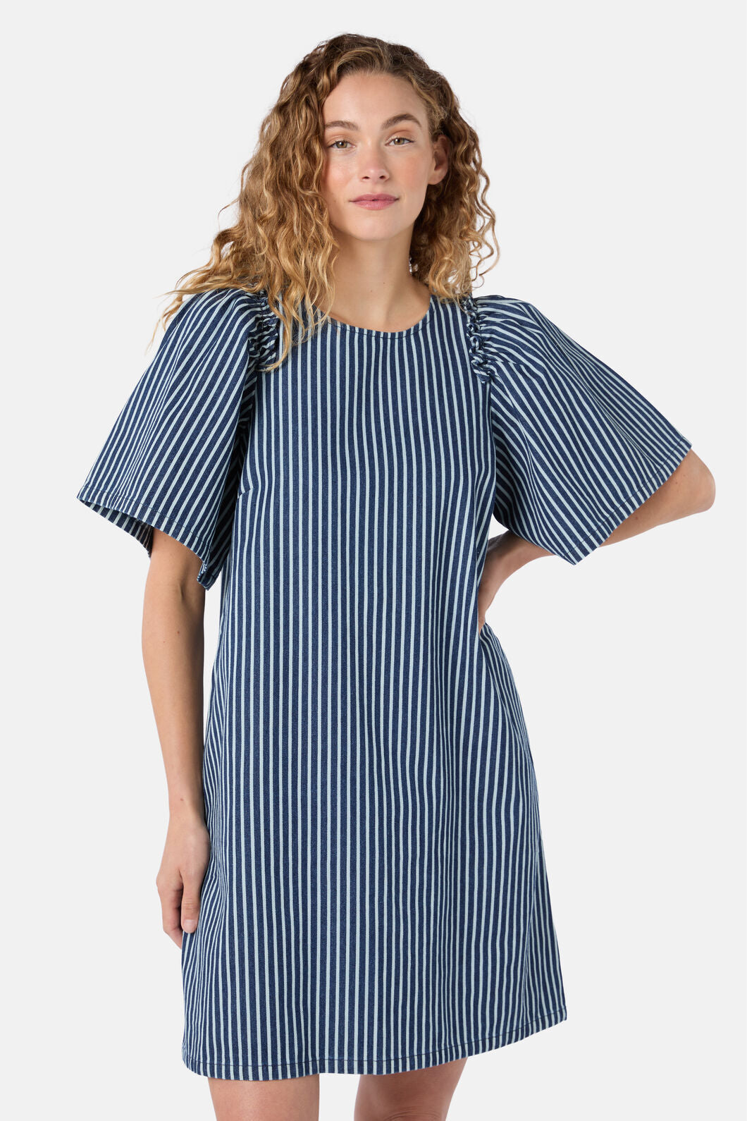 Gorman - Stripe Life Denim Dress - stripe