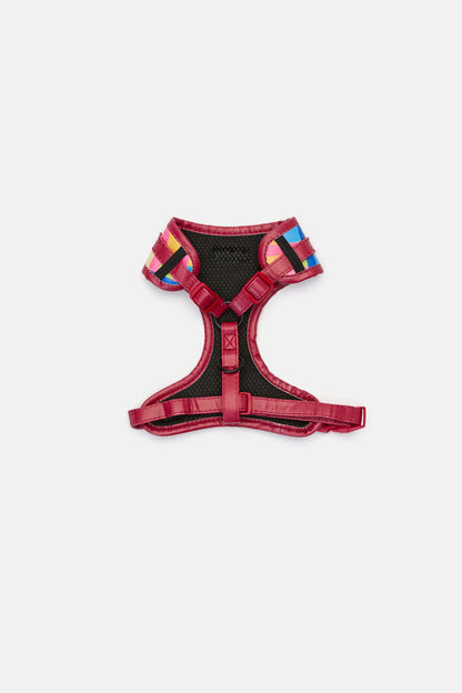 Gorman - Stardom Dog Harness Sml - print