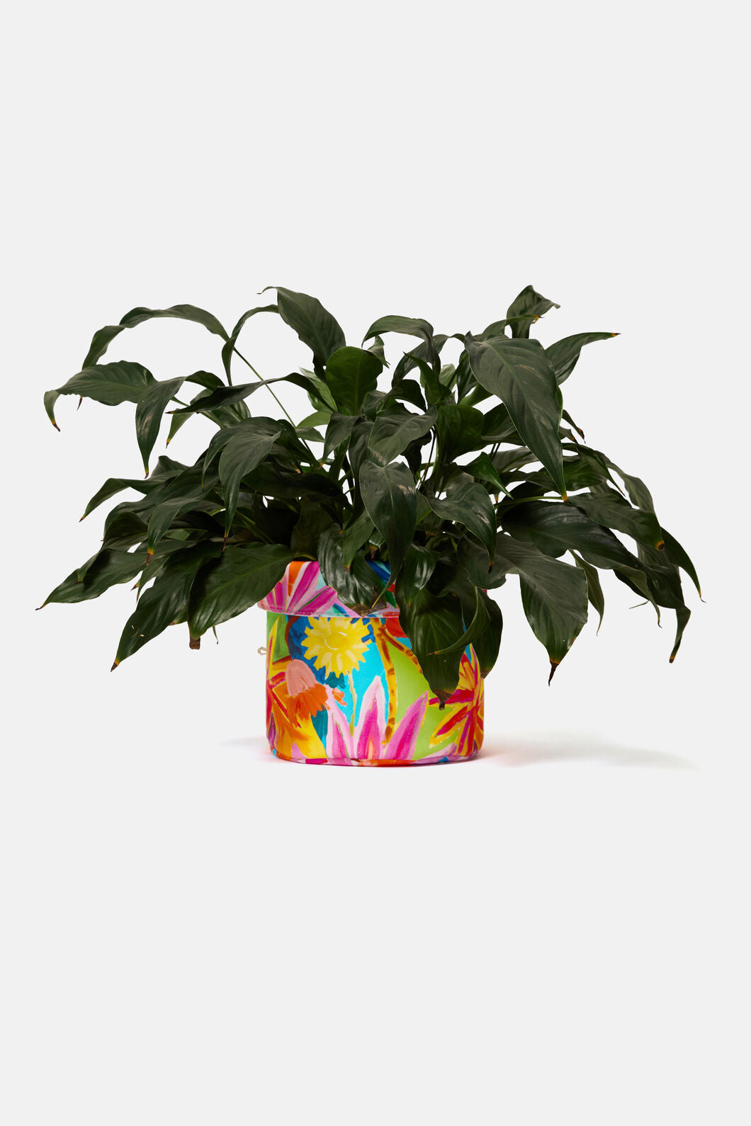 Gorman - Celebrate Tub Large - print