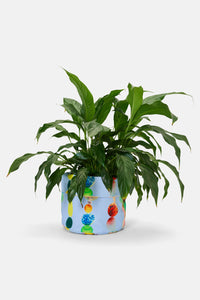 Gorman - Rainbow Drops Tub Large - print