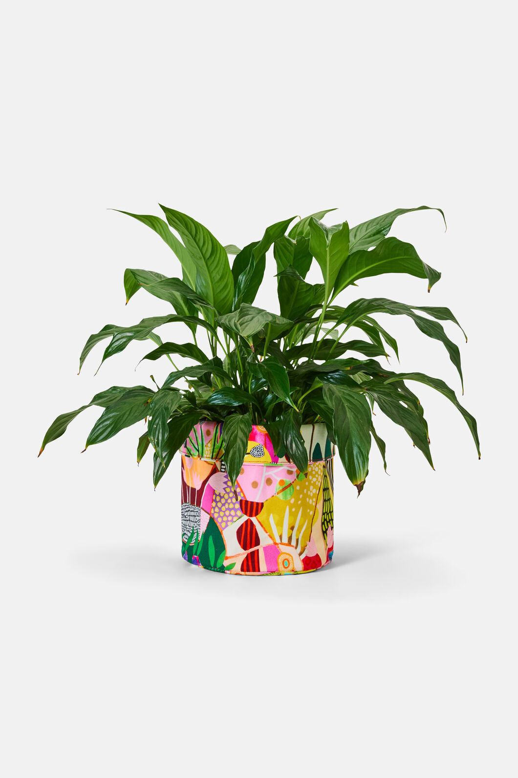 Gorman - Lola's House Tub Lge - print