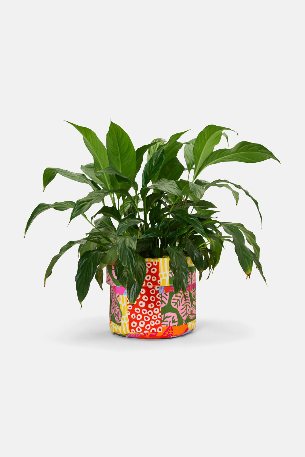 Gorman - Lola's Patchwork Tub Lge - print