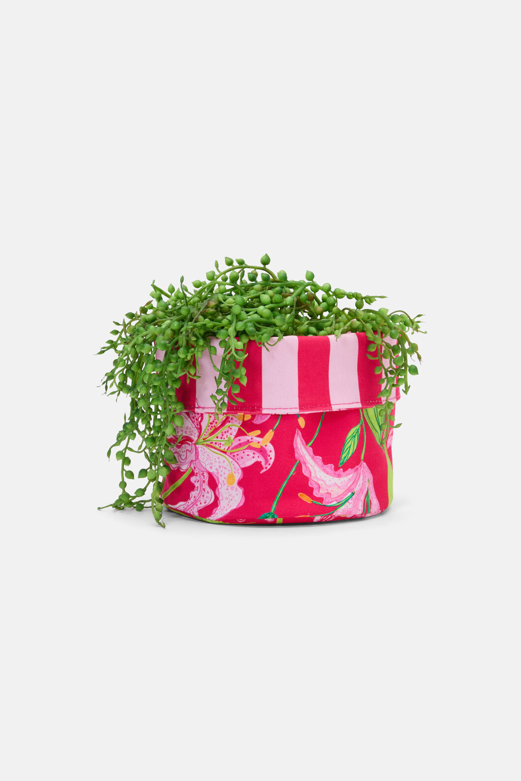Gorman - Pop Lily Planter Sml - print