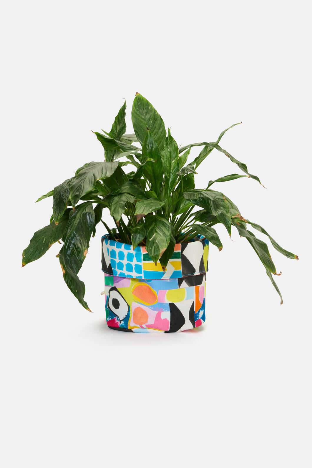 Gorman - Dynamic Argyle Planter Large - print