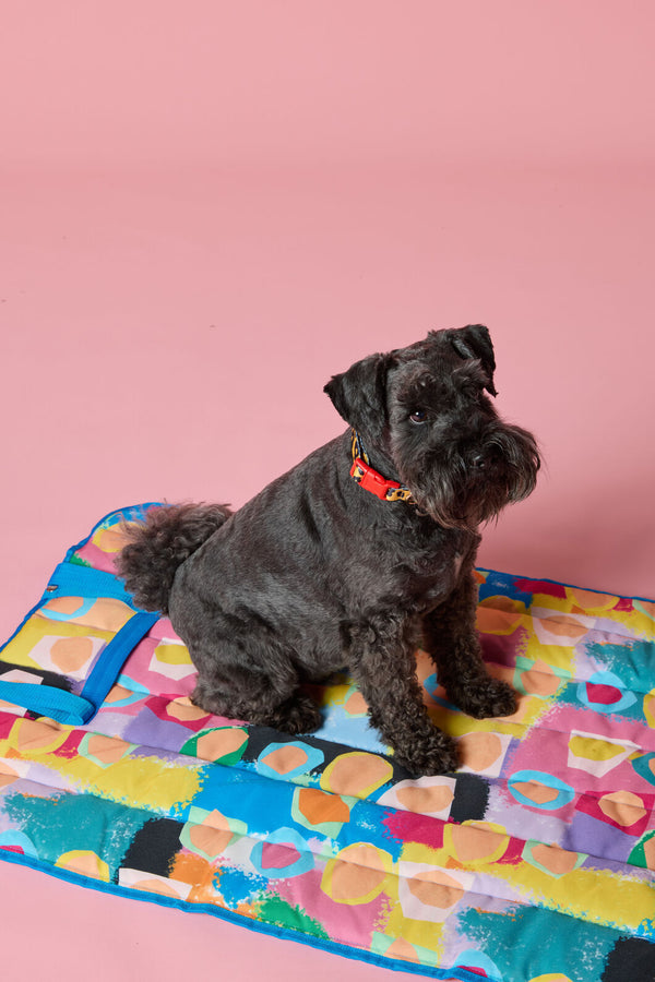 Gorman - Peach Eclipse Pet Travel Mat - print