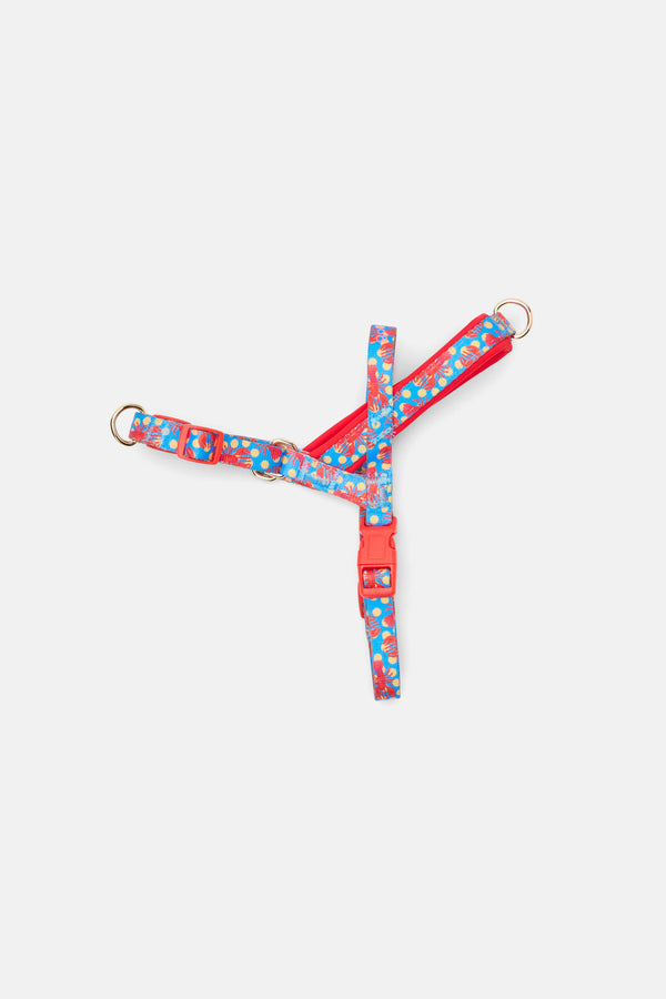 Gorman - Lobster Pet Harness Small - print