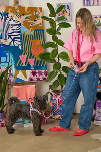 Gorman - Lobster Pet Harness Med - print