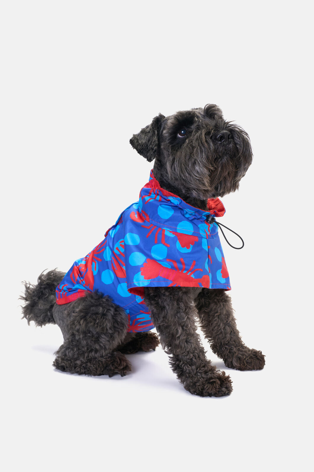 Gorman - Lobster Pet Raincoat - print