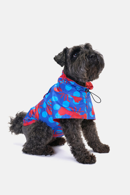 Gorman - Lobster Pet Raincoat - print