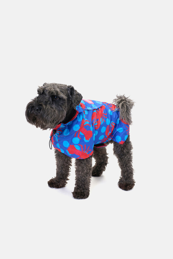 Gorman - Lobster Pet Raincoat - print