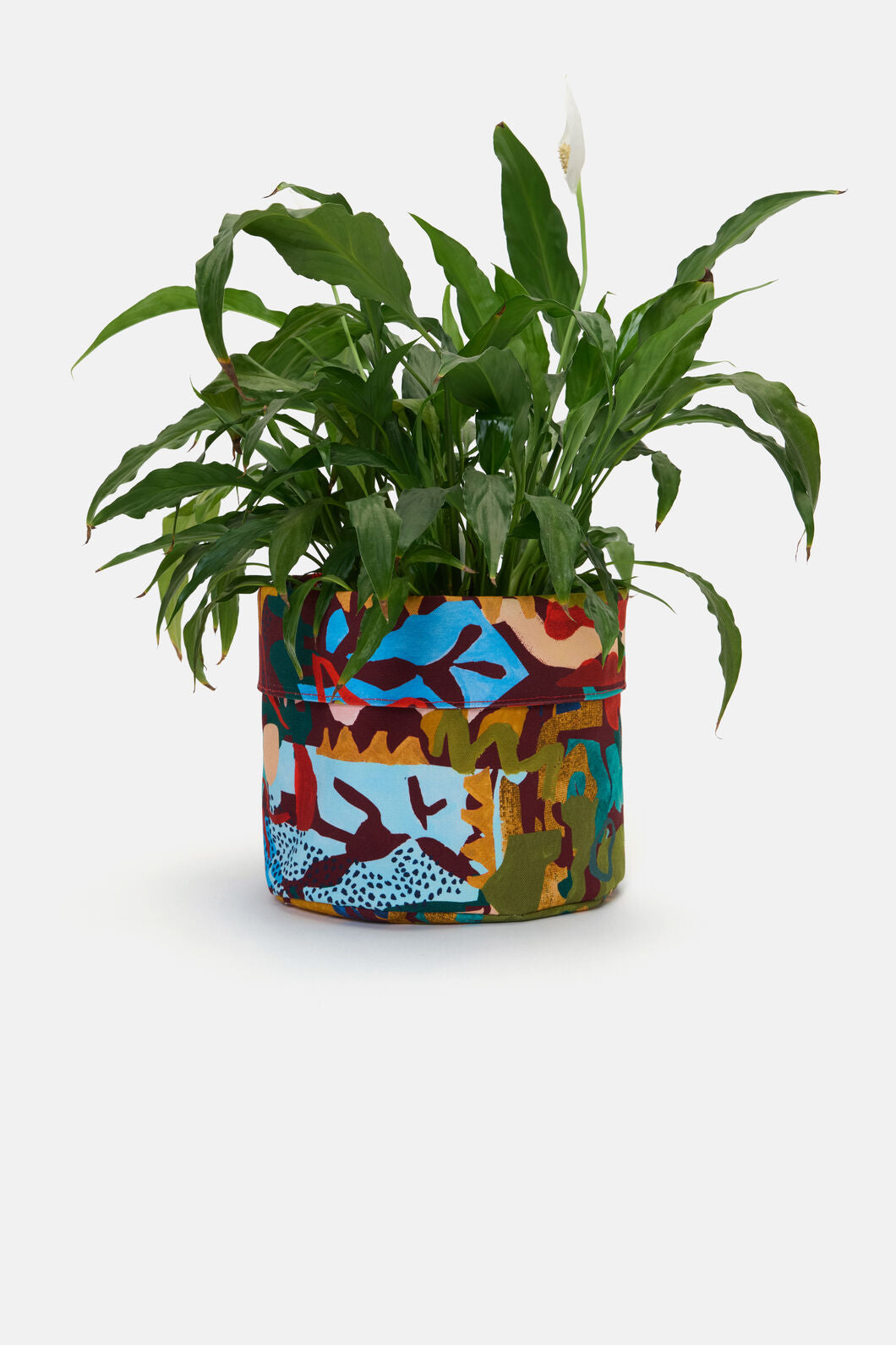 Gorman - Spotted Rhythm Planter Large - print