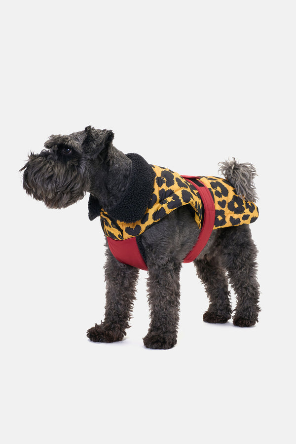 Gorman - Leopard Dog Puffer Coat - print