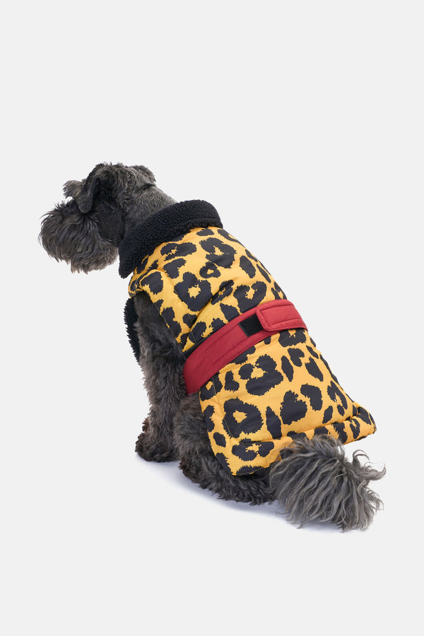 Gorman - Leopard Dog Puffer Coat - print