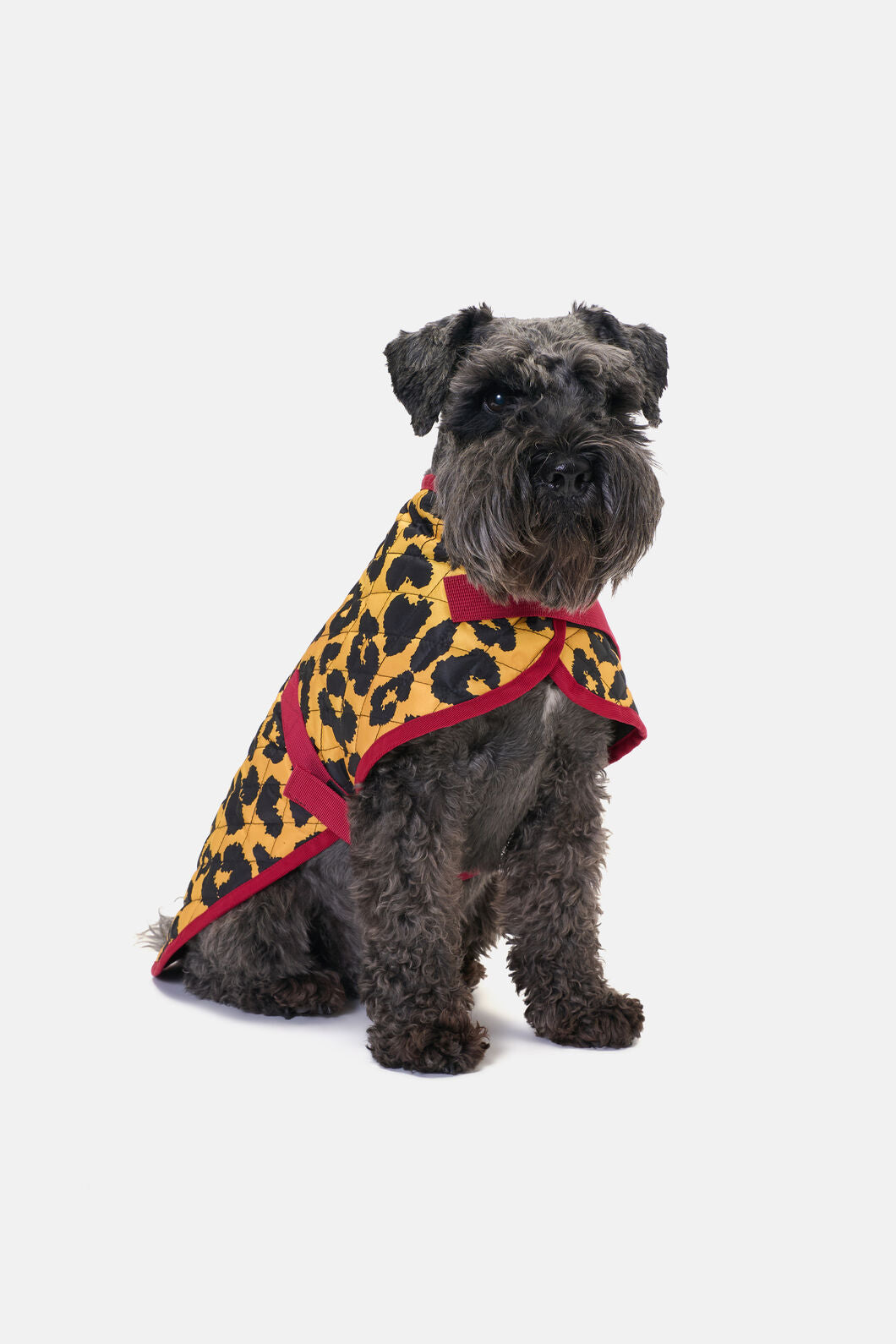 Gorman - Leopard Quilted Dog Coat - print