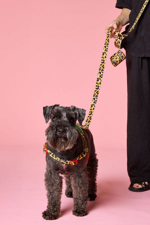 Gorman - Leopard Hands-Free Dog Leash - print