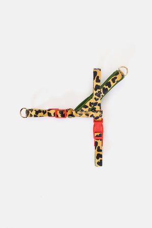Gorman - Leopard Dog Harness - print