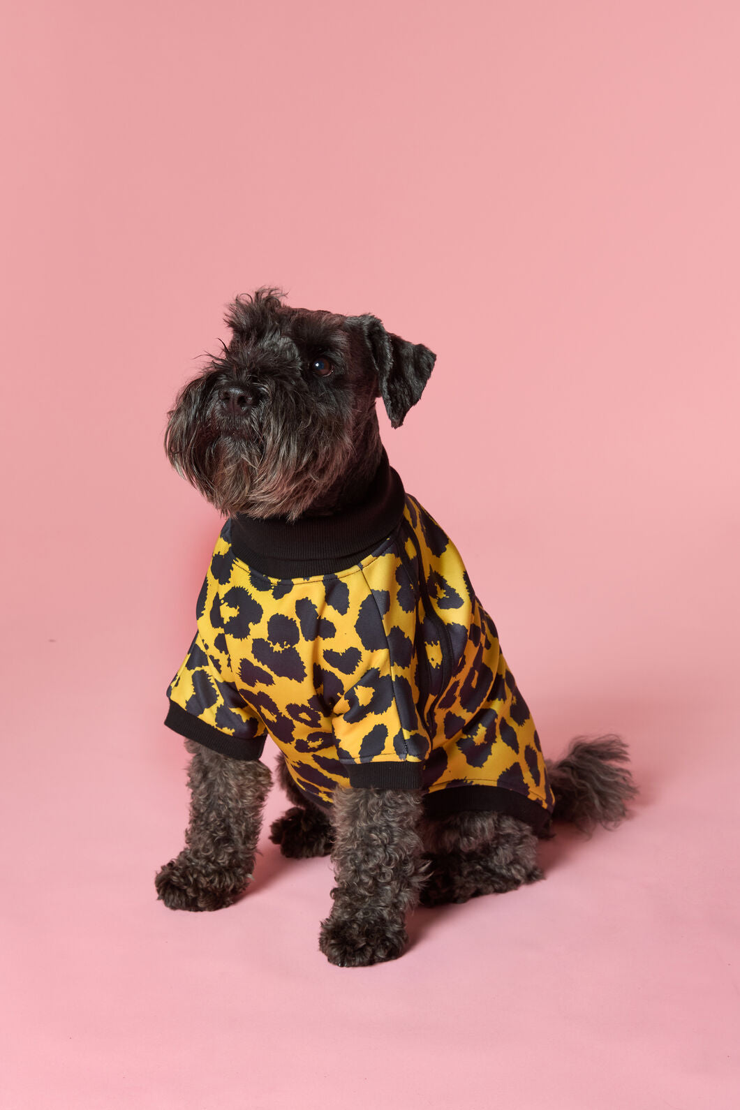 Gorman - Leopard Terry Pet Jumper - multi