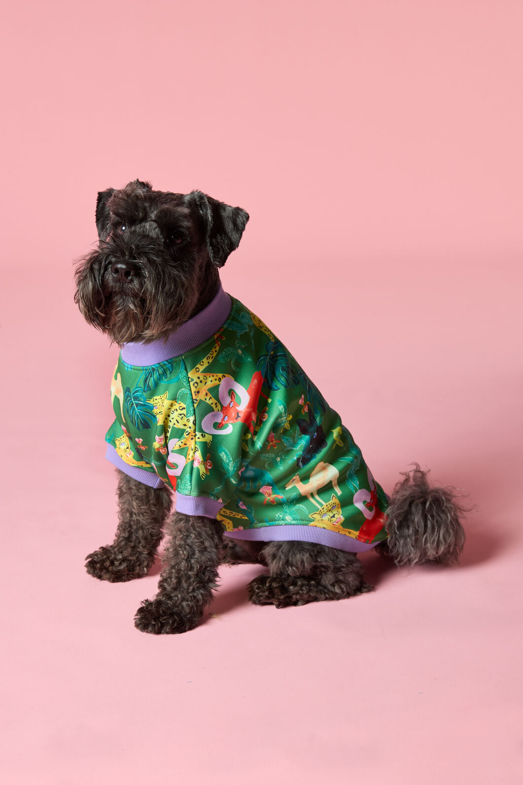 Gorman - Orchid Safari Fleece Pet Jumper - multi
