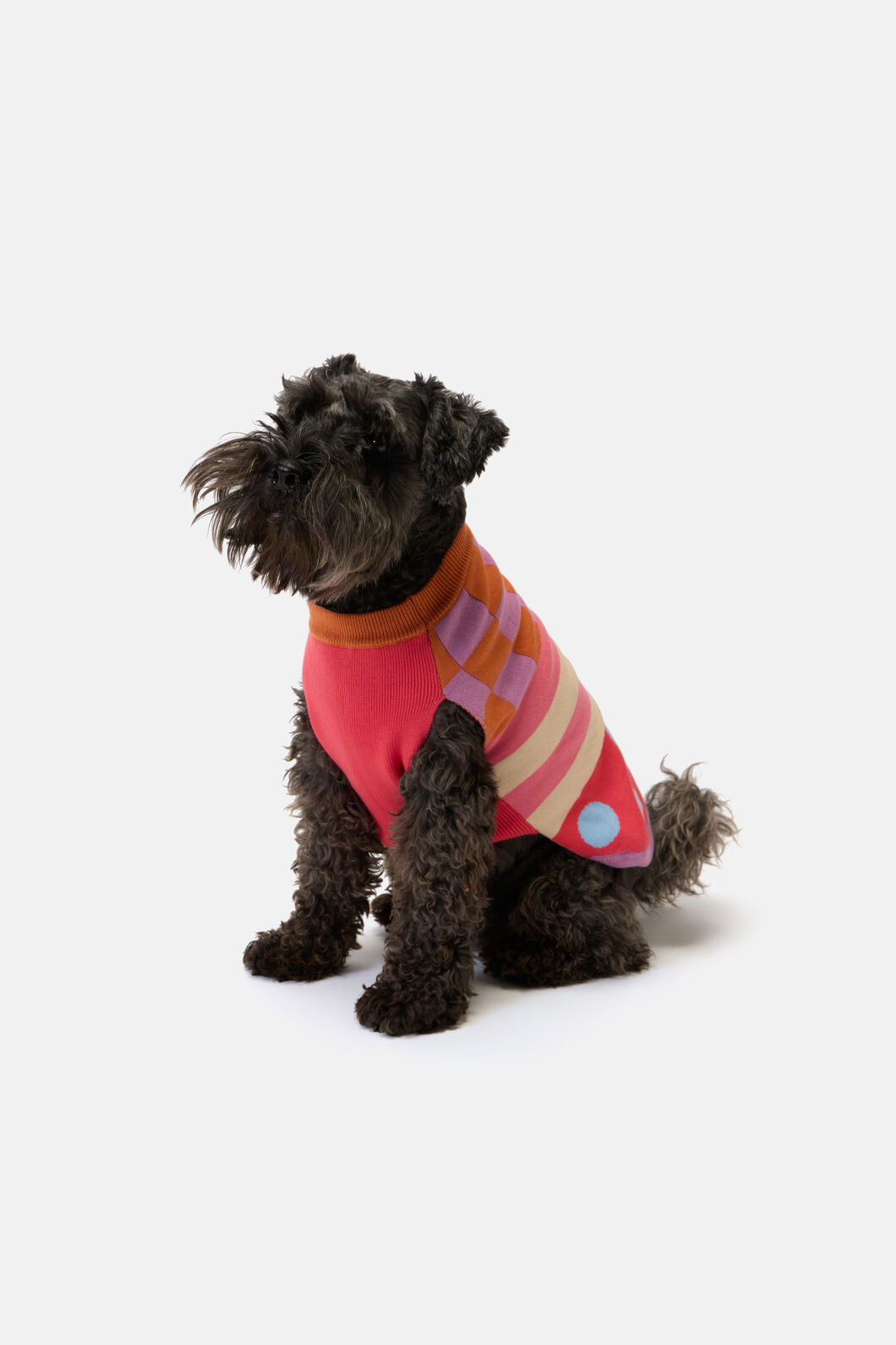 Gorman - Pattern Party Knitted Dog Jumper - multi