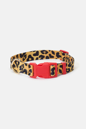 Gorman - Leopard Dog Collar Lge - print