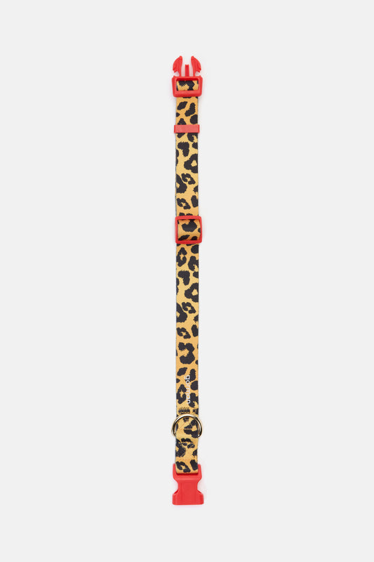 Gorman - Leopard Dog Collar Lge - print