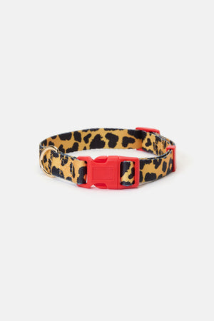 Gorman - Leopard Dog Collar Sml - print