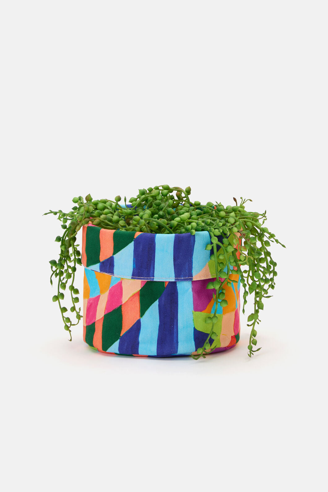 Gorman - Pop Botanical Planter Small - print