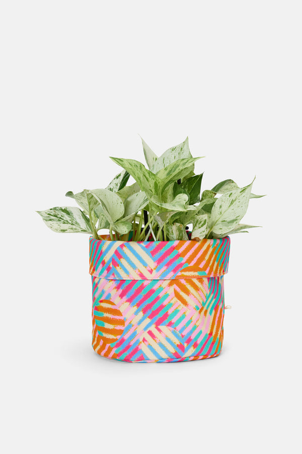 Gorman - Vivid Eclipse Planter Lge - print
