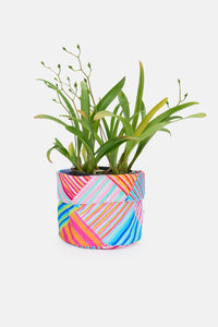 Gorman - Candy Check Planter Sml - print
