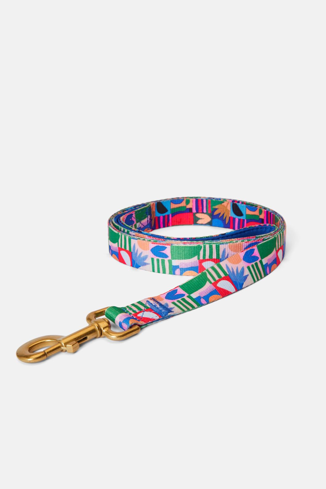 Frond Geo Pet Lead