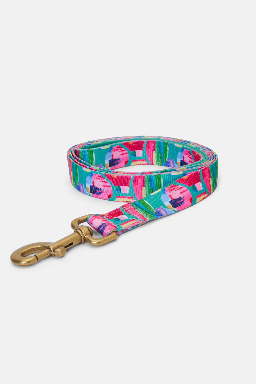 Painted Jars Pet Lead