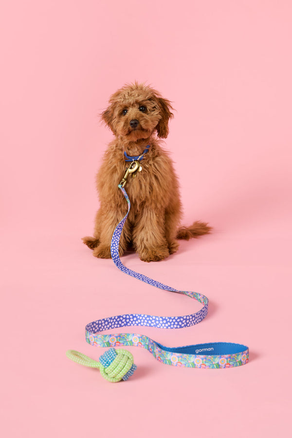 Gorman - Garden Pet Gift Set - print