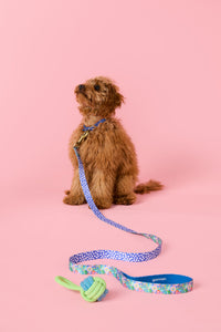 Gorman - Garden Pet Gift Set - print