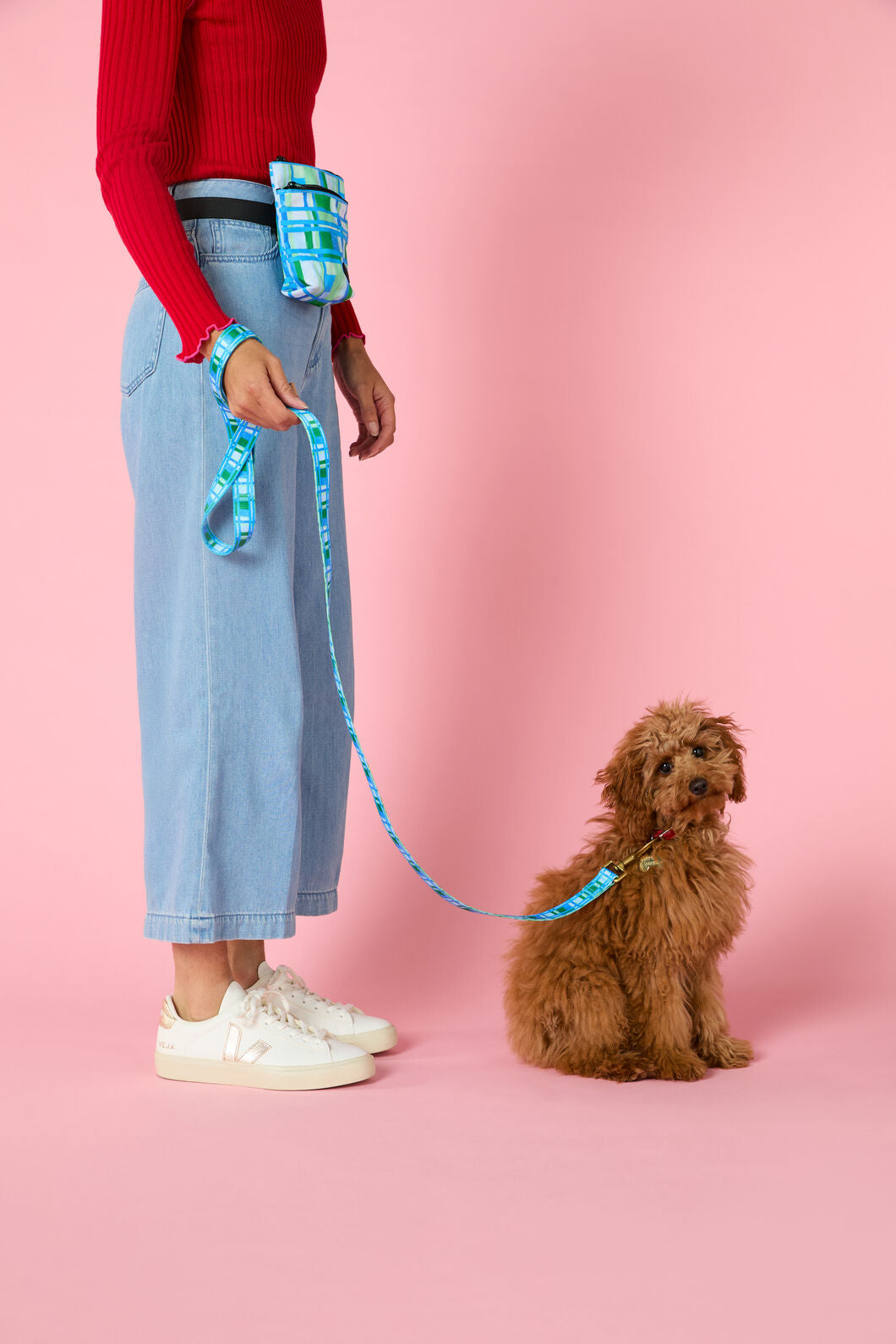 Gorman - City Streets Pet Gift Set - print