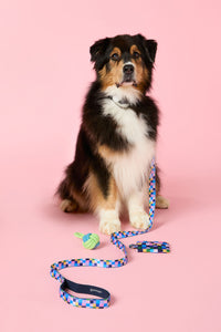 Gorman - Checkers Pet Gift Set - print