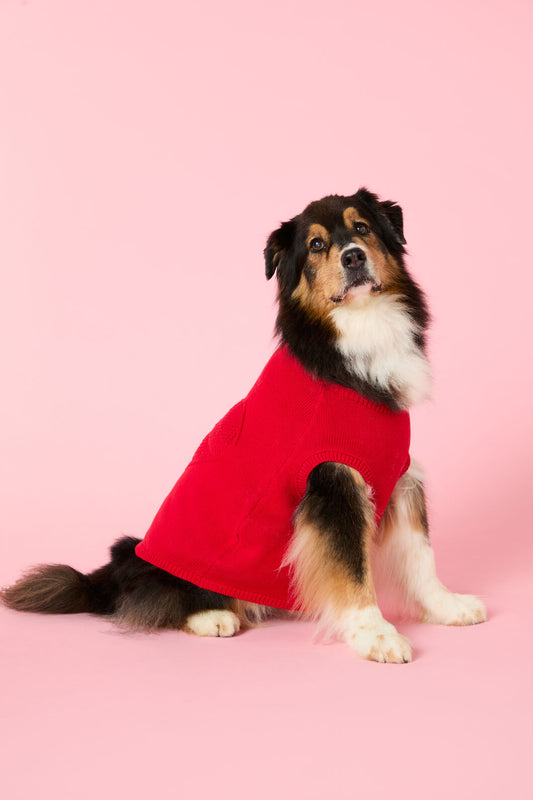 Gorman - Heart Felt Knit Dog Jumper - red