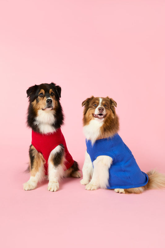 Gorman - Heart Felt Knit Dog Jumper - red