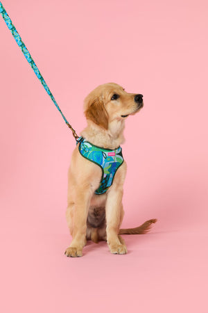 Gorman - Leaves Pet Gift Set - print