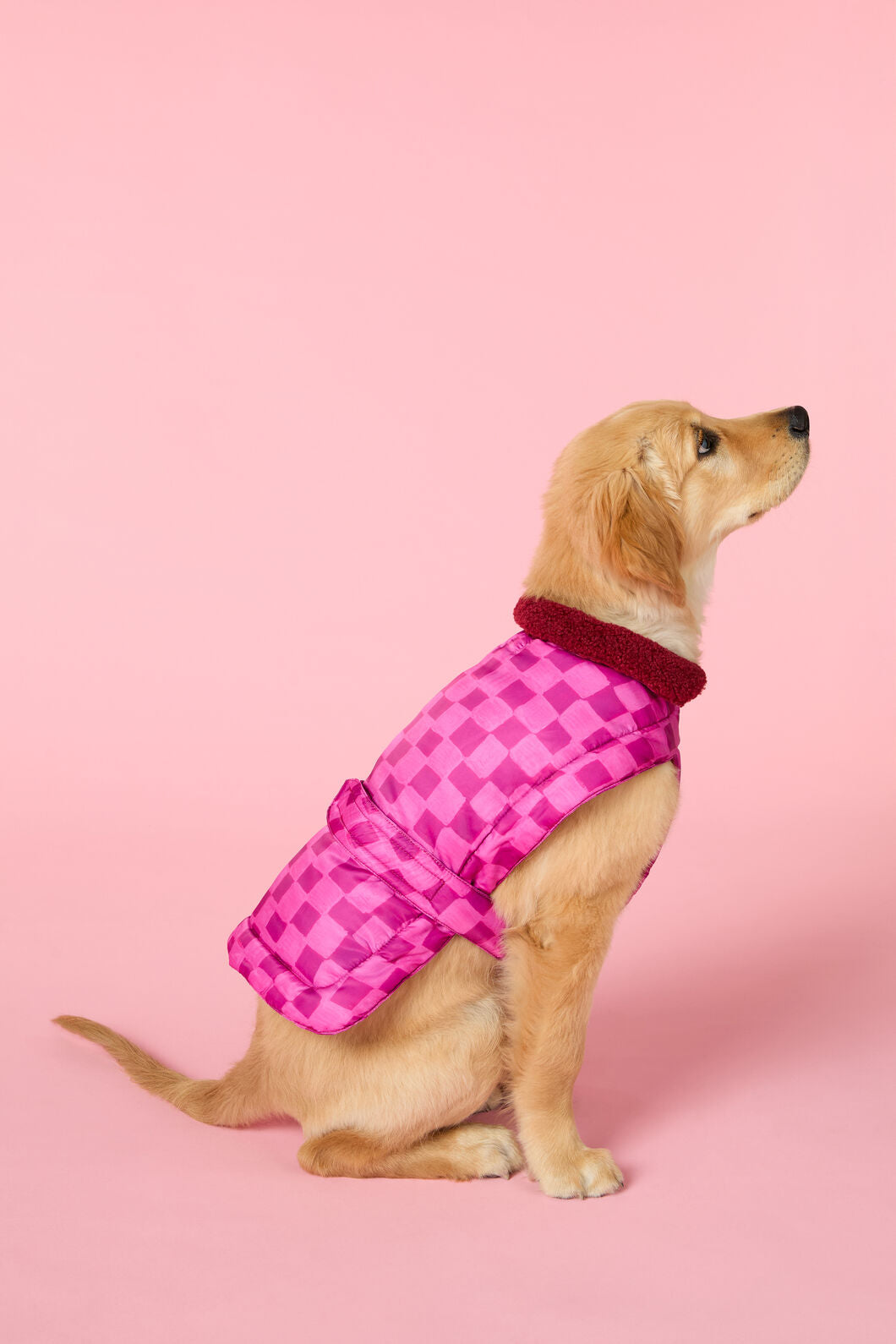 Gorman - Blush Grids Dog Puffer - print