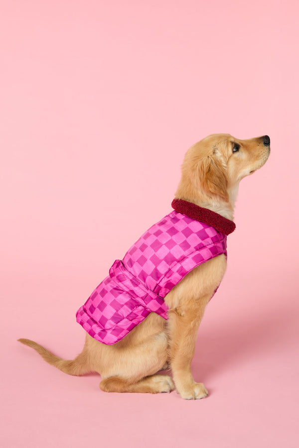 Gorman - Blush Grids Dog Puffer - print