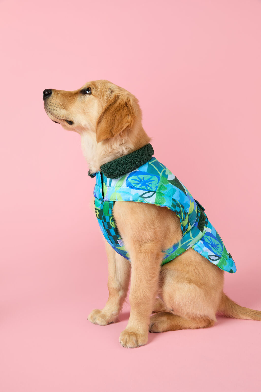 Gorman - Leaves Dog Puffer - print